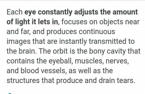 Parts of the human eye and it's function​