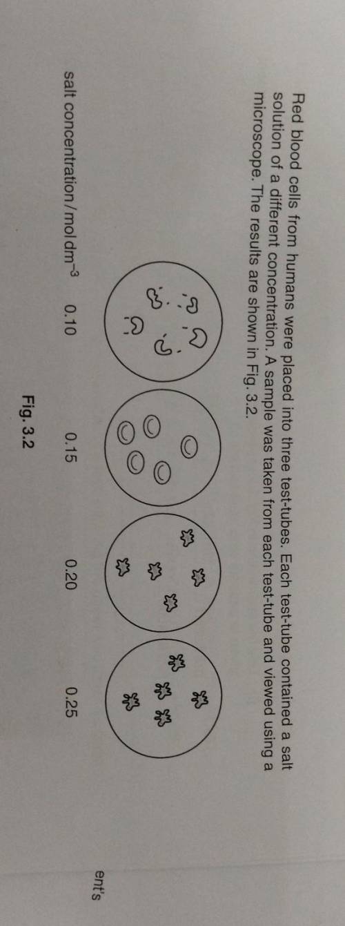 I WILL GIVE BRAINLIEST

Describe the appearance of the red blood cells in the 0.15 mol dm -3 salt