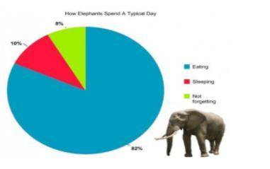 What is a quantitative observation from the circle graph below?

Question 3 options:
Elephants spe