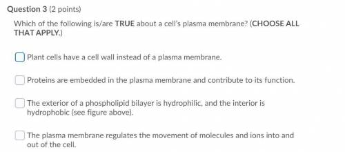 Which of the following is/are TRUE about a cell’s plasma membrane? (CHOOSE ALL THAT APPLY.)

Ques