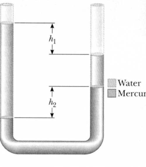 A U-tube uniform cross-sectional area and open to the atmosphere is partially filled with Mercury.