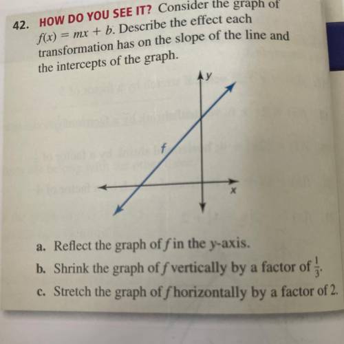 Consider the graph of

f(x) = mx + b. Describe the effect each transformation has on the slope of