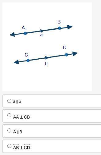 What is the correct label of the parallel lines?