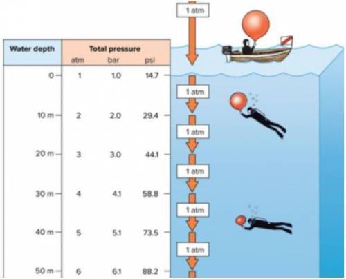 Referring to the figure below, the pressure difference between 10 m and 50 m measured in psi is clo