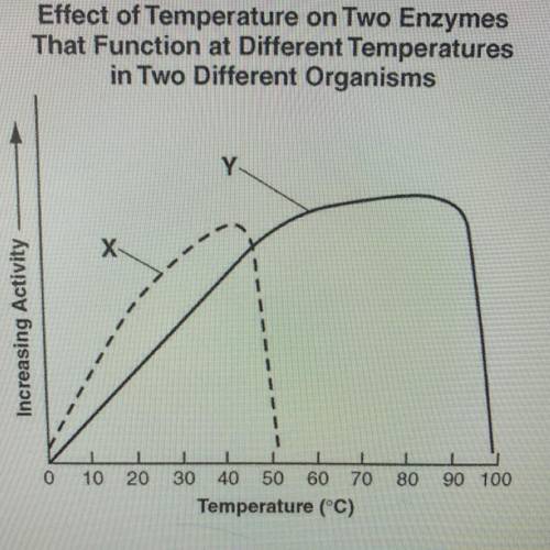 Examine the graph below. What most likely happened to enzyme X after 45°C?

A. It was denatured 
B