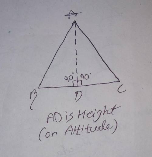 Area of a triangle is 60 CM square its base is 15 cm find its altitude