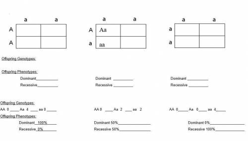 CAN SOMEONE HELP ME PLEASE?