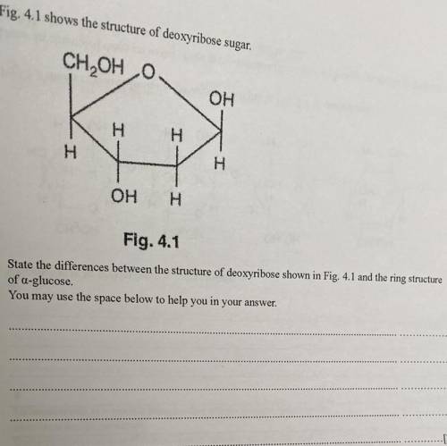 Help w ap bio plssss