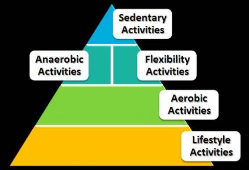 List the following four activities in the order they would go in the physical activity pyramid from