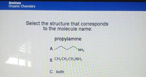 (IMAGE)

Select the structure that corresponds to the molecule name: propylamine A. NH2 B. CH3CH2C