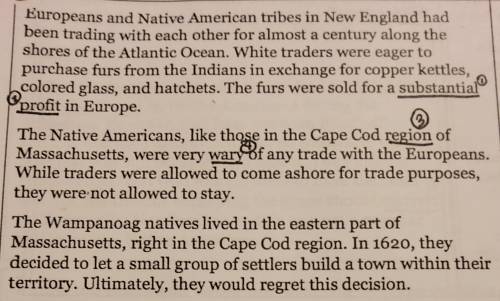 How where natien Americans and the Europeans first introduced along the coast of Massachusetts?​