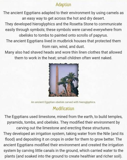 How do you think people adapted to living in Egypt?
Please help