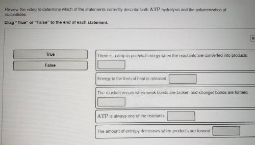 Which of the statements correctly desribe both ATP hydrolysis and polymerization of nucleotides.