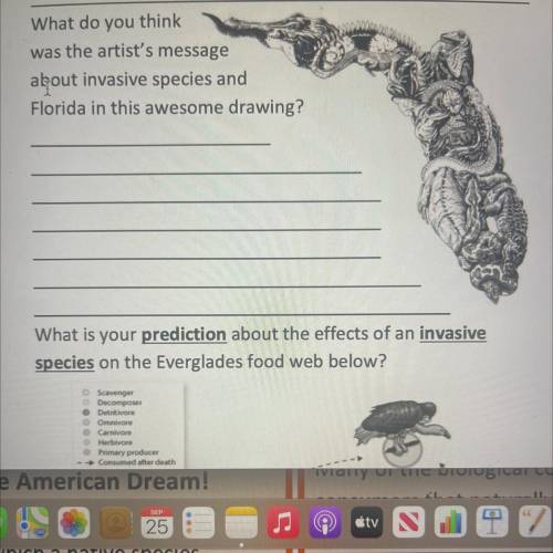 What do you think

was the artist's message
about invasive species and
Florida in this awesome dra