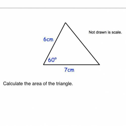 Calculate the area of the triangle.