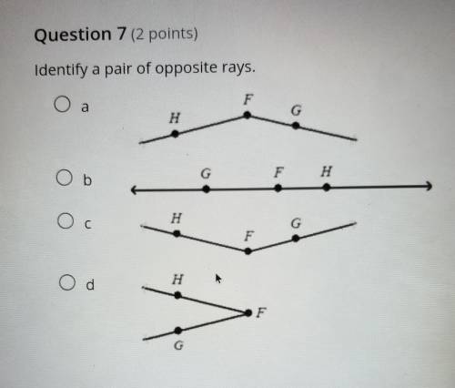 Identify a pair of opposite rays.