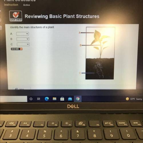 Identify the main structures of a plant.
SEE
A
B
С
DONE
Intro