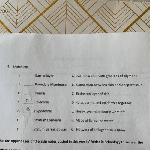 I need help with matching number 4