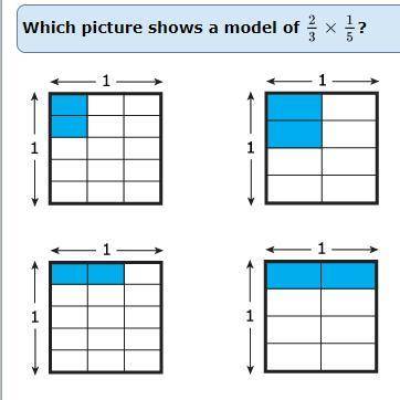 Which is the correct model?