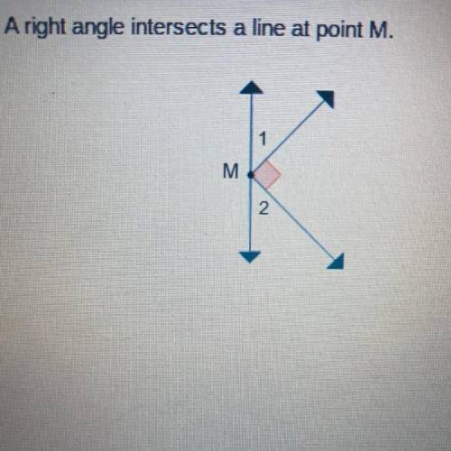 Which statement is true about angles 1 and 2?

O They are congruent.
O They are right angles.
O Th