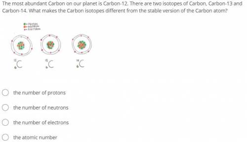 The most abundant Carbon on our planet is Carbon-12. There are two isotopes of Carbon, Carbon-13 an