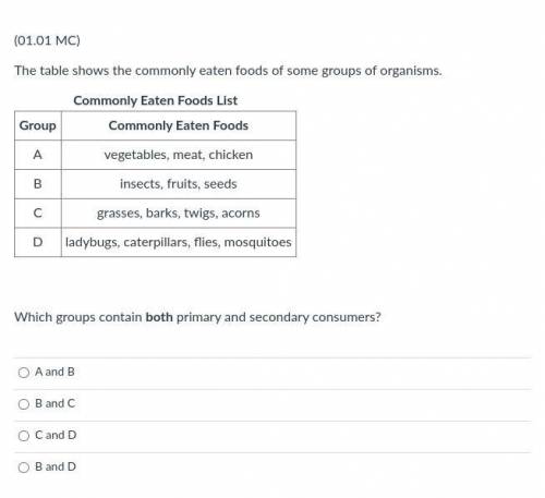 Which groups contain both primary and secondary consumers?