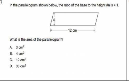 PLZ HELPP I THINK THE ANSWER IS D BUT I DON’T WANNA GET IT WRONG