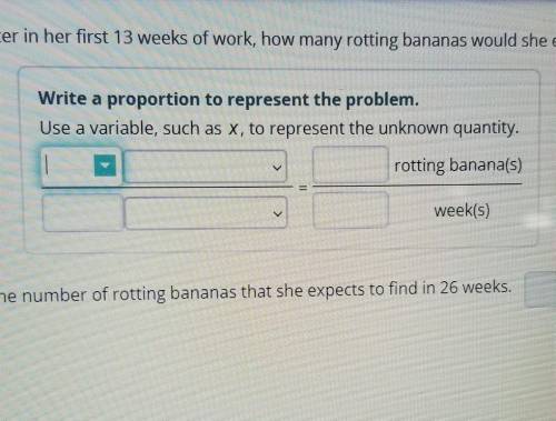 If the custodian finds 4 rotting bananas in the dumpster in her first 13 weeks of work, how many ro