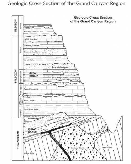 Look at the Grand Canyon cross section. What is the 4th event to take place in the Grand Canyon's g