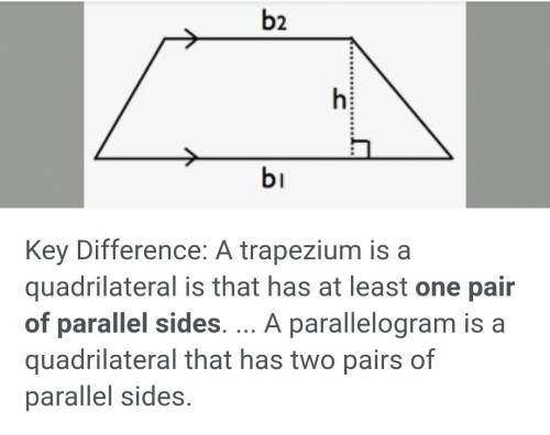 Difference between a Parallelogram and a trapezium?