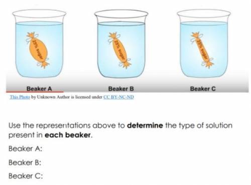 Use the representation to find each solution from each beaker