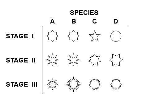 Select the correct locations in the diagram. The diagram below represents four species of invertebr