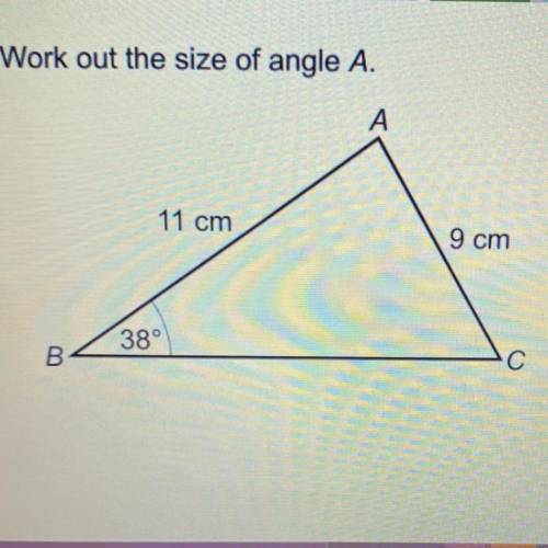 Work out the size of angle A.
A
11 cm
9 cm
38°
B
С