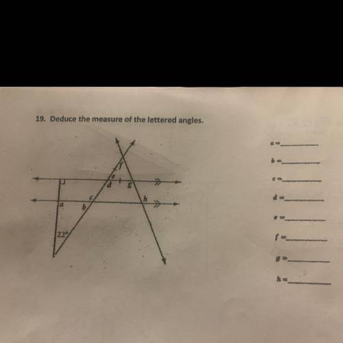 Deduce the measure of the lettered angles