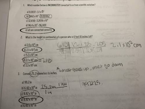 Can someone please explain the steps to the correct answers?