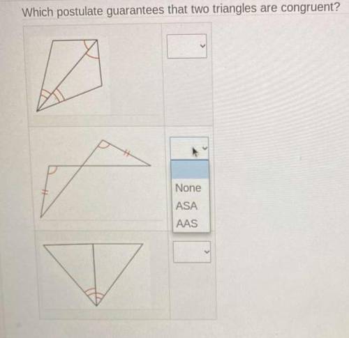 Which postulate guarentees that two triangles are congruent?

I will give brainliest to BEST answ