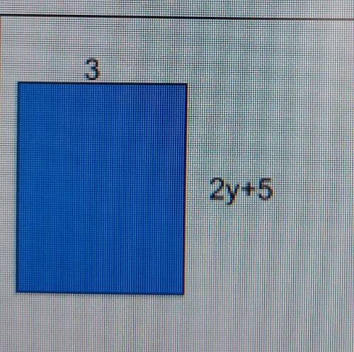 Please help me write an expression for area and perimeter for this rectangle