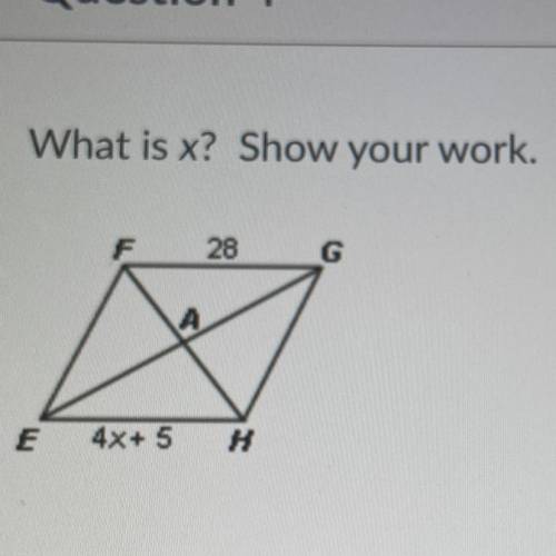 What is x? Show your work.