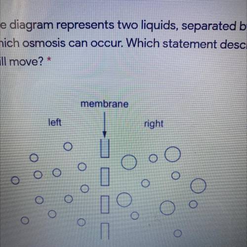 The diagram represents two liquids, separated by a membrane through

which osmosis can occur. Whic