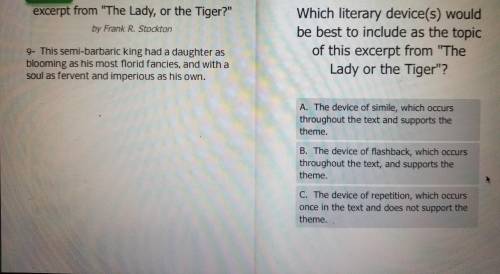 PLEASE HELP

Which literary device(s) would be best to include as the topic of this excerpt fr