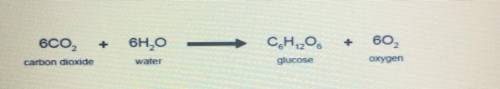 A chemical reaction is shown below. Which of the following processes is

represented by the chemic