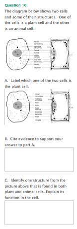 4 parts please answer all
I will give brainliest to correct answer and most accurate