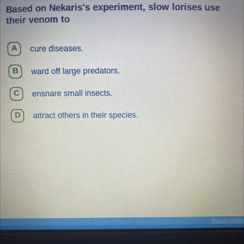 Based on Nekari’s experiment, slow lorises use their venom to