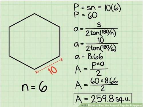 What is the area of the polygon given below?