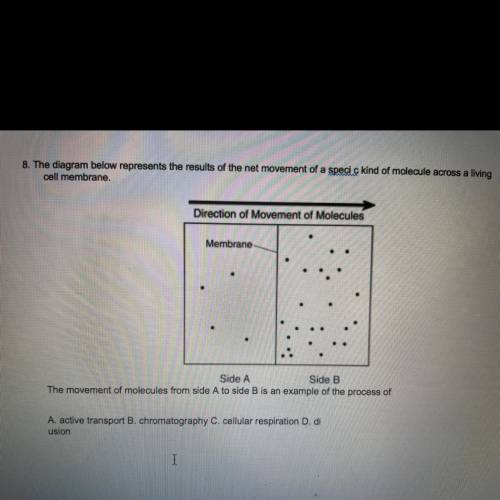 What the answer? Please help me i need to pass !!!