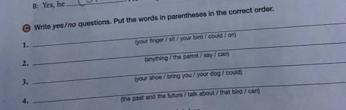 Write yes/no questions. Put the words in parentheses in the correct order.