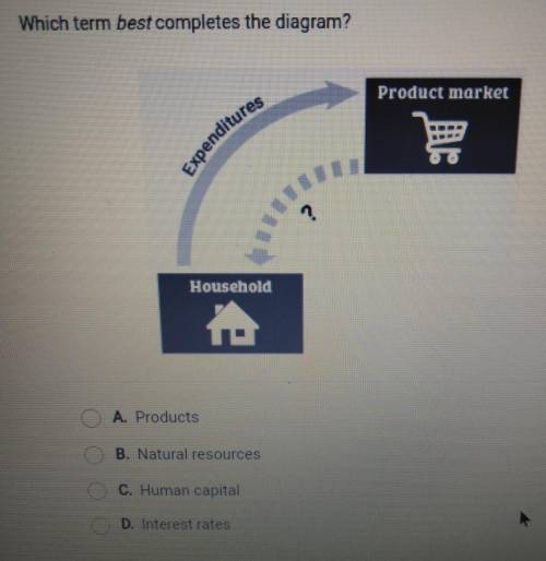 Which term best completes the diagram? Product market Expenditures Household O A. Products O B. Nat