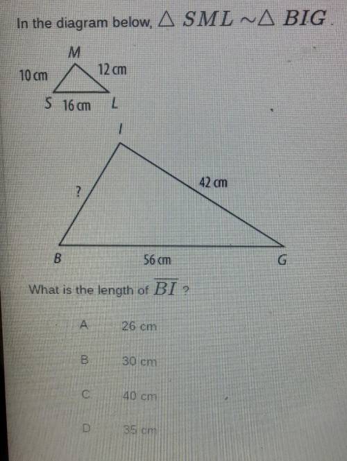 In the diagram below. A SML-A BIG M 10 cm 12 cm S 16 am L 42 am ? B 56 cm What is the length of BI