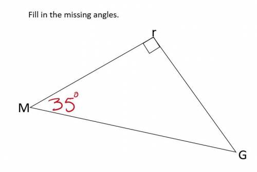 What are angles r? and G?
Please help (NO BOTS!)