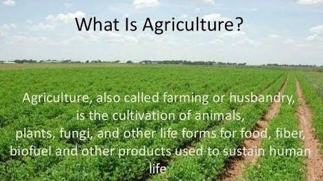 What is Agriculture?? koi h ky???